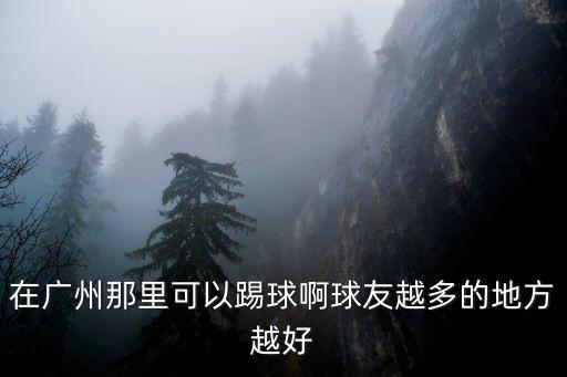 在廣州那里可以踢球啊球友越多的地方越好