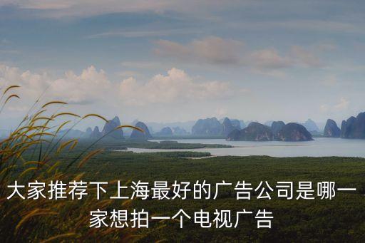 大家推薦下上海最好的廣告公司是哪一家想拍一個電視廣告