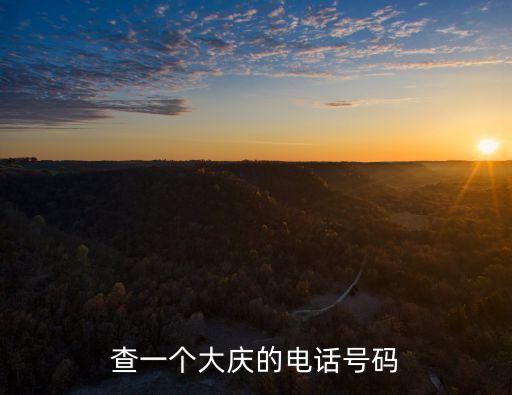 大慶五排廣州真皮電話，大慶讓胡路區批發面皮電話