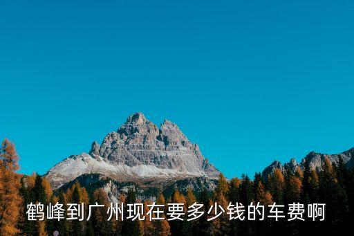 鶴峰到廣州現(xiàn)在要多少錢的車費啊
