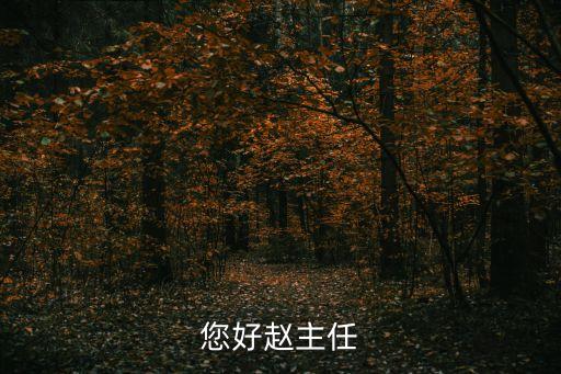 您好趙主任