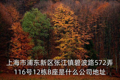 上海市諧勤信息科技有限公司，上海市浦東新區張江鎮碧波路572弄116號12棟B座是什么公司地址