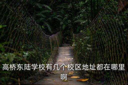 上海市高橋東陸學校高行校區小學，高橋東陸學校有幾個校區地址都在哪里啊