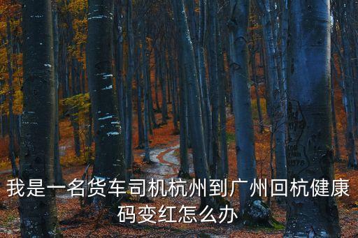 最近廣州返杭健康碼會(huì)變嗎，我是一名貨車司機(jī)杭州到廣州回杭健康碼變紅怎么辦