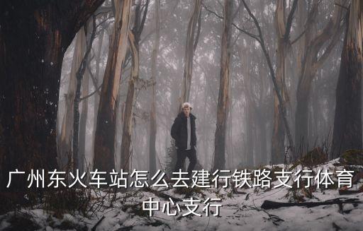 廣州東火車站怎么去建行鐵路支行體育中心支行