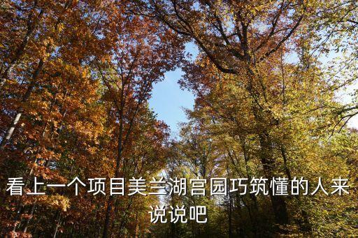看上一個項目美蘭湖宮園巧筑懂的人來說說吧