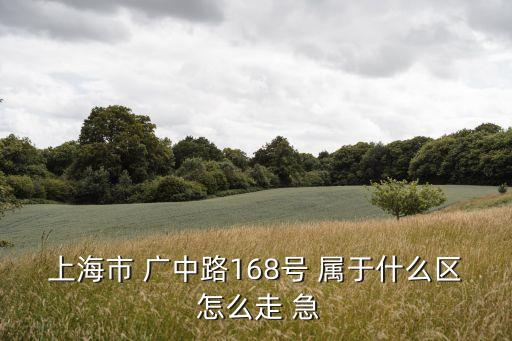上海市 廣中路168號 屬于什么區 怎么走 急