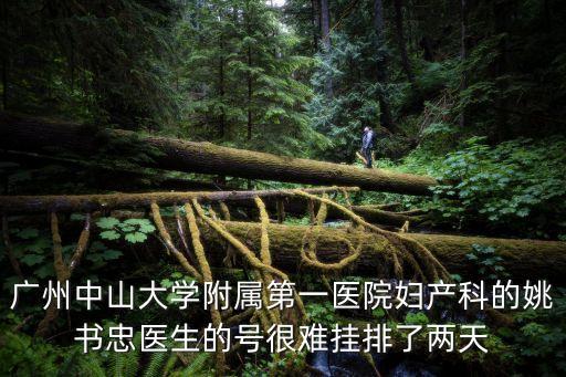 廣州中山大學附屬第一醫院婦產科的姚書忠醫生的號很難掛排了兩天