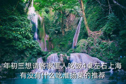 年初三想請客家里人吃飯4桌左右上海有沒有什么吃淮揚菜的推薦