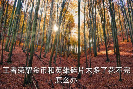 王者榮耀金幣和英雄碎片太多了花不完怎么辦