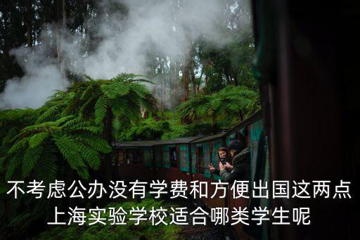 上海市實驗學堂，不考慮公辦沒有學費和方便出國這兩點上海實驗學校適合哪類學生呢