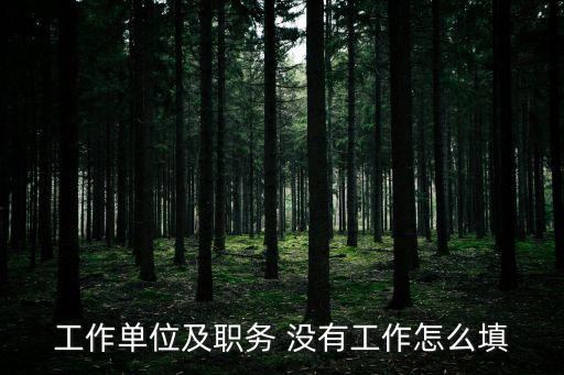工作單位及職務 沒有工作怎么填