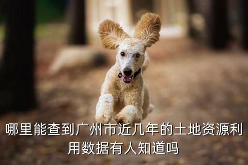 哪里能查到廣州市近幾年的土地資源利用數據有人知道嗎
