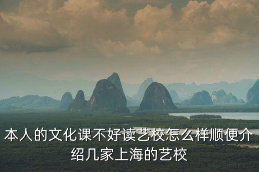 上海市藝軒進修學校，上海市青少年藝術進修學校好不好