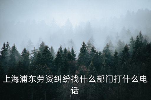 上海浦東勞資糾紛找什么部門打什么電話