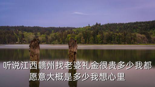 江西彩禮多少，江西弋陽地區的彩禮大概需要多少