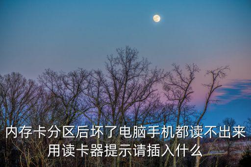 內(nèi)存卡分區(qū)后壞了電腦手機(jī)都讀不出來用讀卡器提示請(qǐng)插入什么