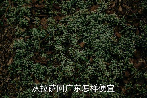 從拉薩回廣東怎樣便宜