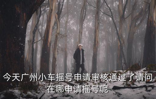 今天廣州小車搖號(hào)申請(qǐng)審核通過(guò)了請(qǐng)問(wèn)在哪申請(qǐng)搖號(hào)呢