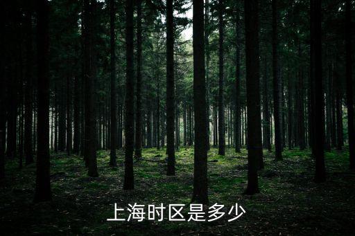 上海市明日限牌是多少，上海市區汽車牌照現在多少