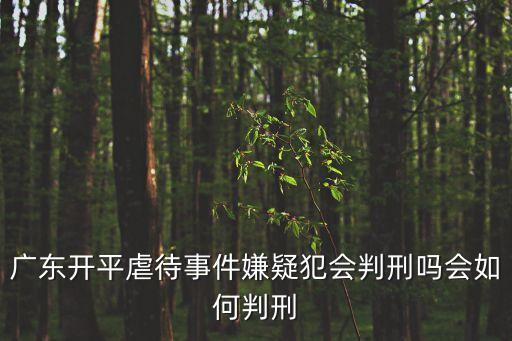 唐人街小小強廣州開平，廣東開平虐待事件嫌疑犯會判刑嗎會如何判刑