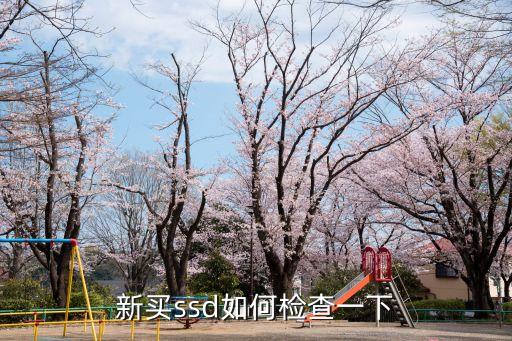 新買ssd如何檢查一下