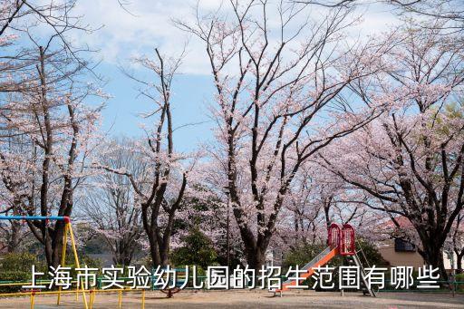 上海市浦口區實驗幼兒園，浦口區有哪些比較好的幼兒園啊