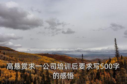 高懸賞求一公司培訓后要求寫500字的感悟