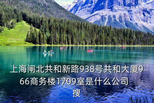 上海閘北共和新路938號共和大廈966商務樓1709室是什么公司  搜