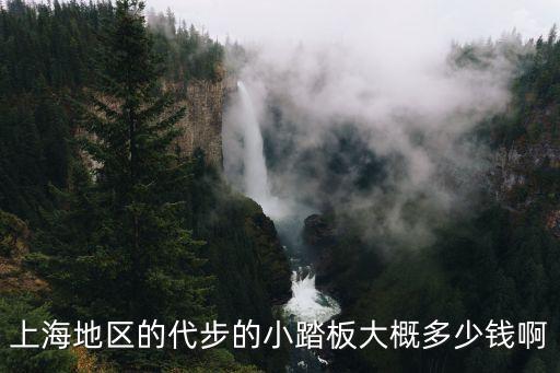 上海市踏板車，上海地區的代步的小踏板大概多少錢啊