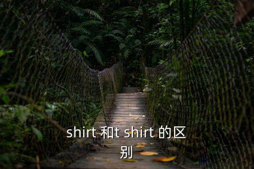 shirt 和t shirt 的區別