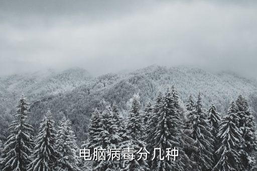 電腦病毒分幾種