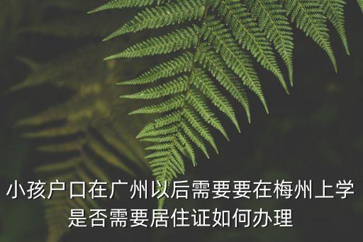 廣州轉(zhuǎn)梅州讀書(shū)，請(qǐng)問(wèn)在廣州怎樣到梅州的嘉應(yīng)學(xué)院火車(chē)汽車(chē)都告訴我最好是嘉應(yīng)