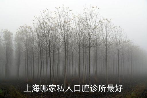 上海哪家私人口腔診所最好