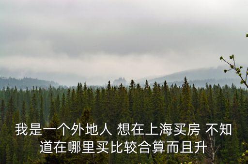 我是一個外地人 想在上海買房 不知道在哪里買比較合算而且升