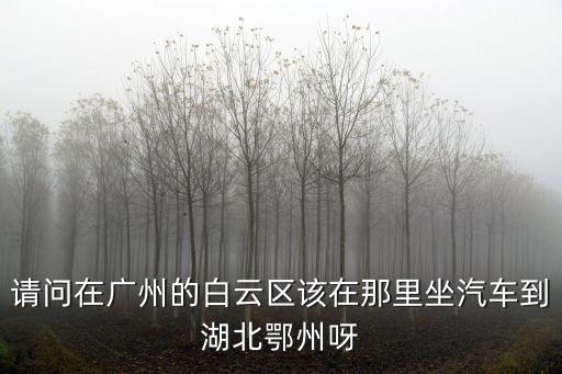 請問在廣州的白云區(qū)該在那里坐汽車到湖北鄂州呀