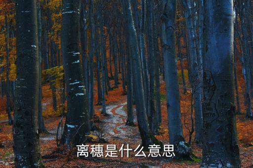 離穗是什么意思