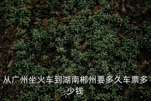 從廣州坐火車到湖南郴州要多久車票多少錢
