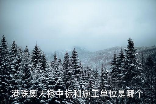 廣州珠江兩岸工程標，廣州地標建筑小蠻腰