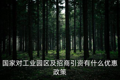 國家對工業園區及招商引資有什么優惠政策