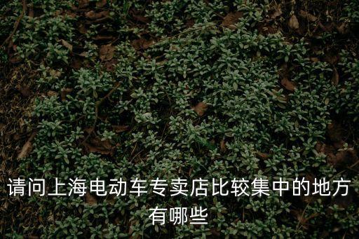 請問上海電動車專賣店比較集中的地方有哪些