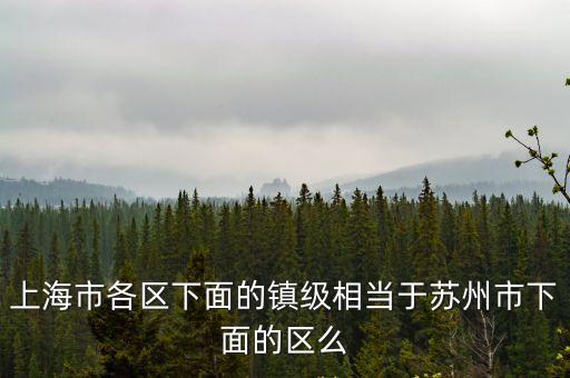 上海市各區(qū)下面的鎮(zhèn)級(jí)相當(dāng)于蘇州市下面的區(qū)么