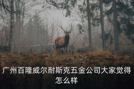 廣州百隆威爾耐斯克五金公司大家覺得怎么樣