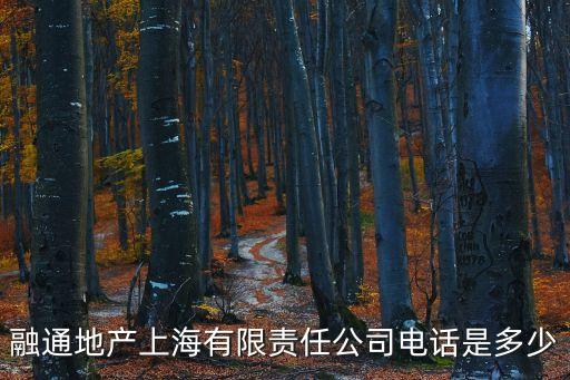 上海市融通集團(tuán)，上海寶山區(qū)友誼路1135號(hào)是什么公司