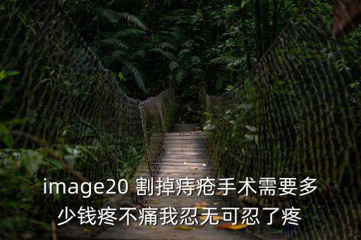 痔瘡手術(shù)圖片，image20 割掉痔瘡手術(shù)需要多少錢疼不痛我忍無(wú)可忍了疼