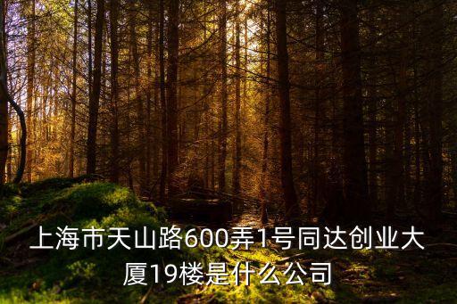 上海市天山路600弄1號同達創業大廈19樓是什么公司