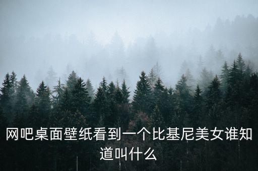 網吧桌面壁紙看到一個比基尼美女誰知道叫什么