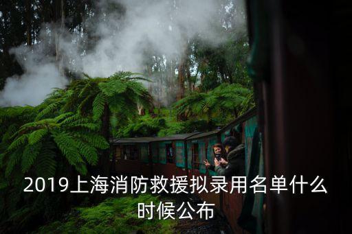 上海市消防局2019招聘9月，應(yīng)急管理部2019年下半年還招錄消防員嗎