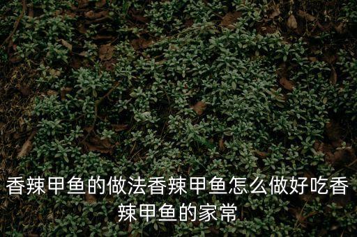 香辣甲魚的做法香辣甲魚怎么做好吃香辣甲魚的家常