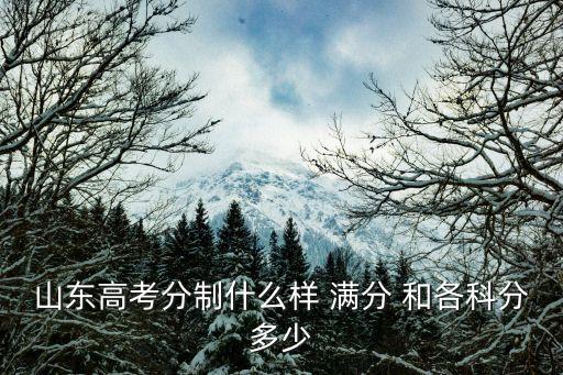 山東高考分制什么樣 滿分 和各科分多少